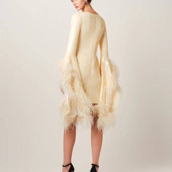 RVNG - "KATE" Evening Dress - Ivory With Ostrich Feathers - Size 2 - NEW - Picture 3 of 4